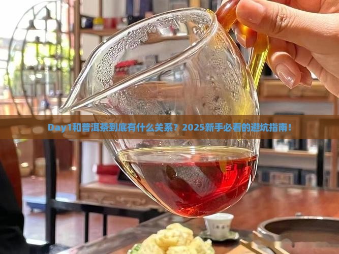 day1和普洱茶 day1和普洱茶