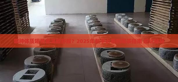 什么体质适合喝熟普洱茶