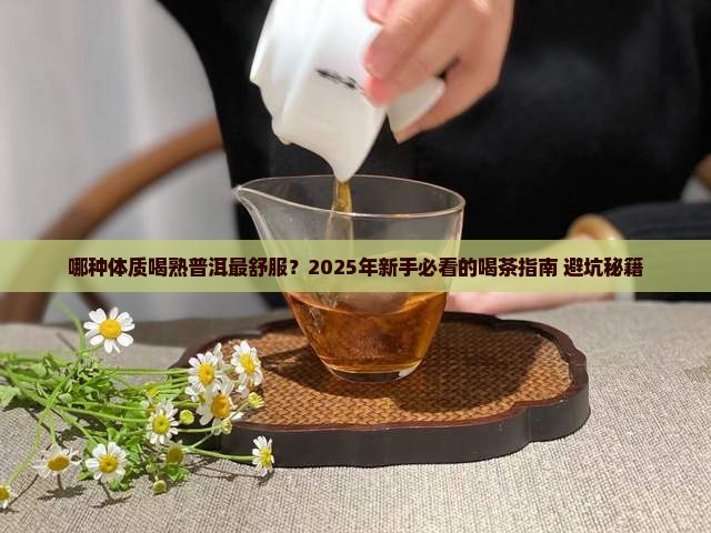 什么体质适合喝熟普洱茶