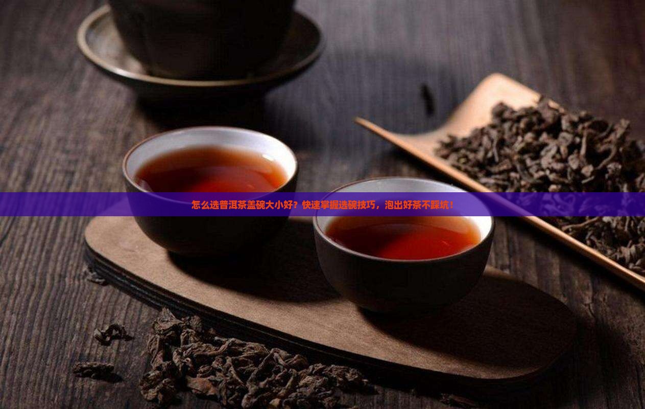 怎么选普洱茶盖碗大小好