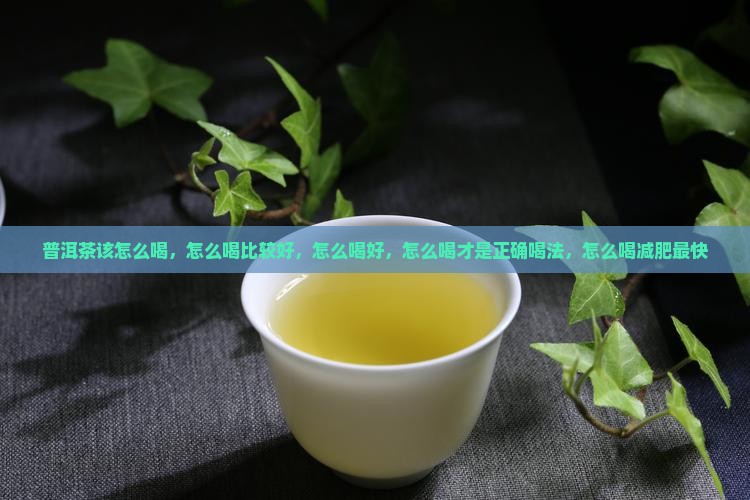 普洱茶该怎么喝