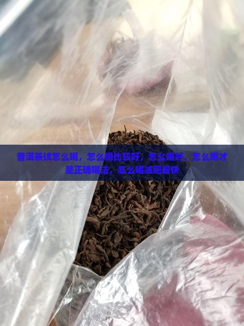 普洱茶该怎么喝