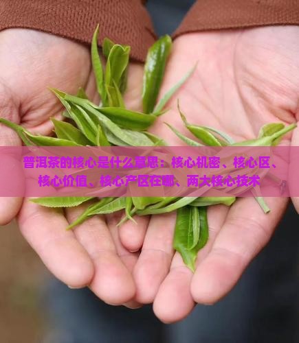 普洱茶的核心是什么意思