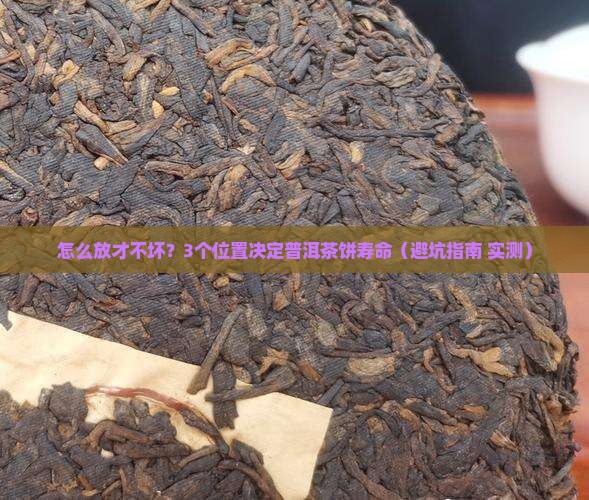 木箱普洱茶饼摆放位置