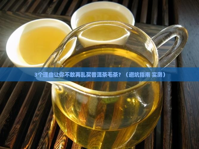 普洱茶毛茶购买购老板