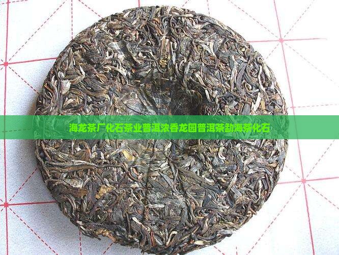 云南勐海龙园茶厂茶化石