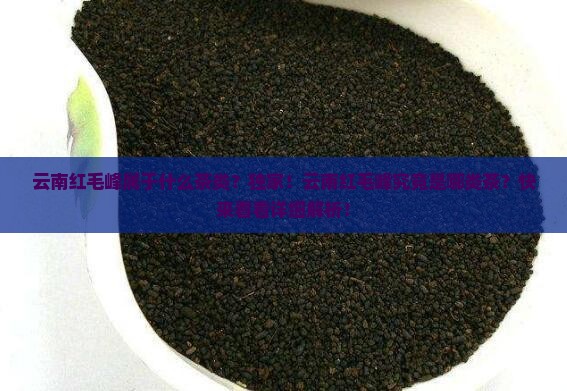云南红毛峰属于什么茶类