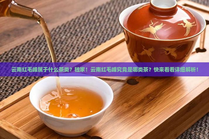 云南红毛峰属于什么茶类