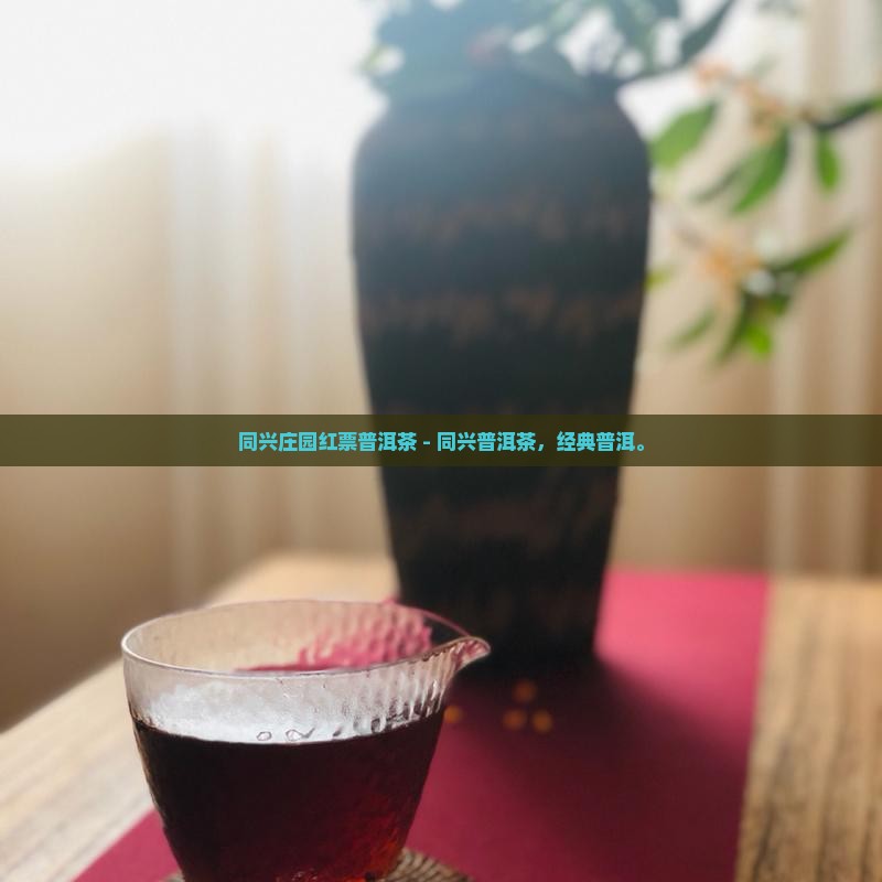 同兴庄园红票普洱茶