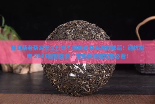 普洱茶老茶头怎么分辨