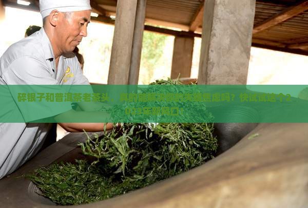 碎银子和普洱茶老茶头