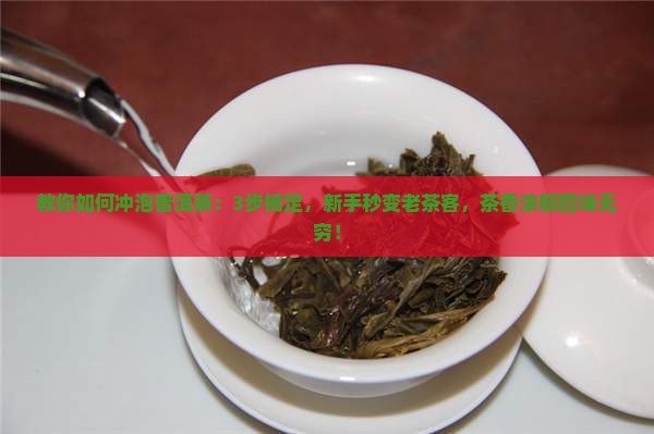 教你如何冲泡普洱茶