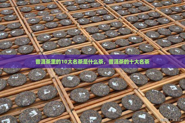 普洱茶里的10大名茶是什么