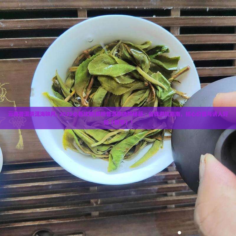 云南普洱茶洱海映月