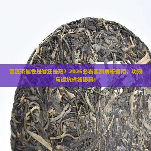 普洱茶属性是寒还是热