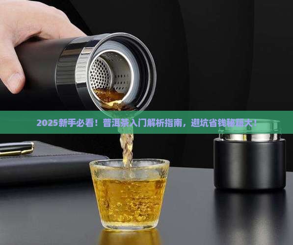 刚开始接触普洱茶怎么样