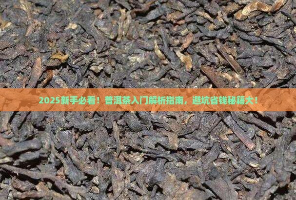 刚开始接触普洱茶怎么样