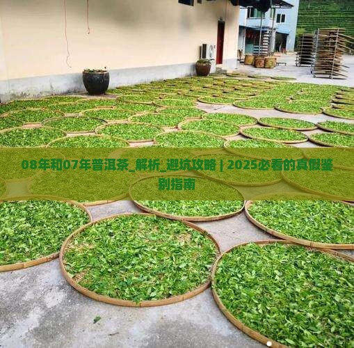 08年和07年普洱茶