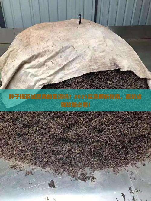 胖子喝茶可以减肥吗