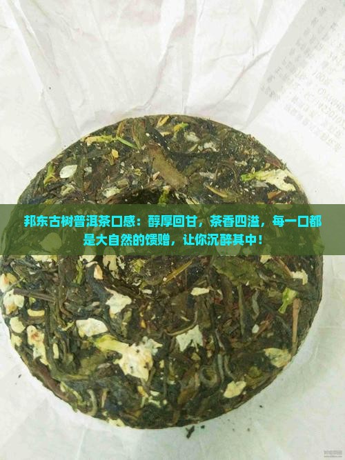 邦东古树普洱茶口感