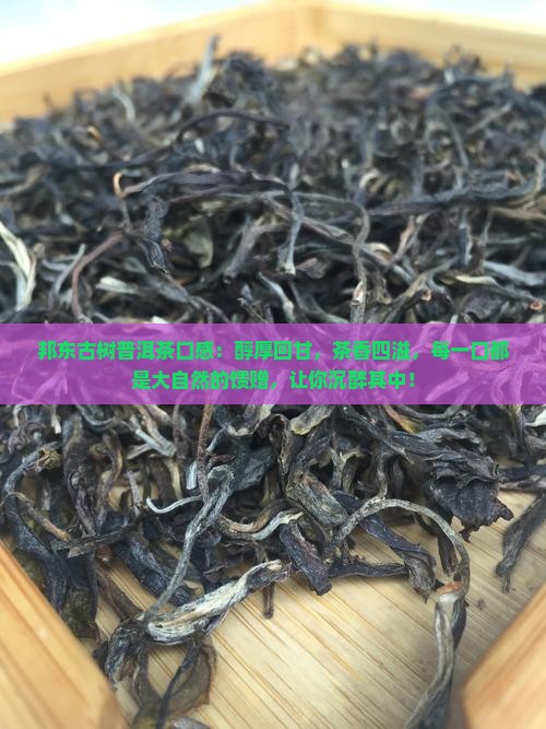 邦东古树普洱茶口感