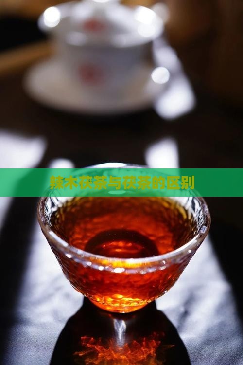 辣木茯茶和茯茶区别