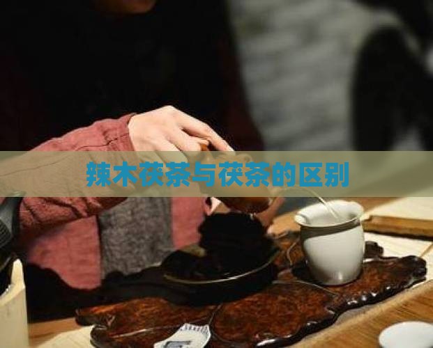 辣木茯茶和茯茶区别