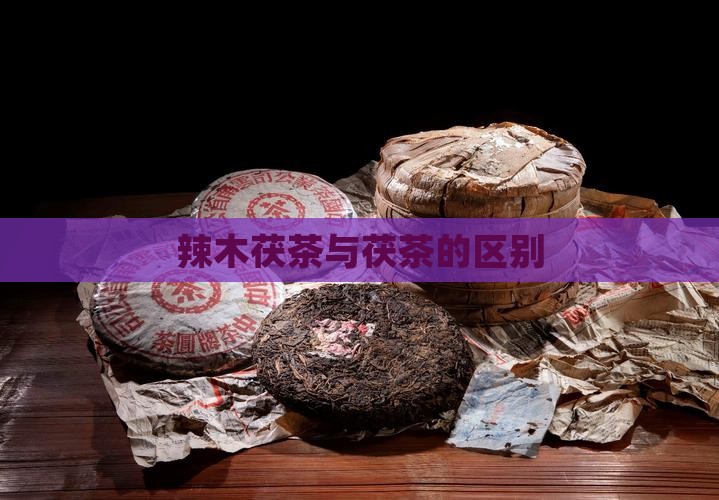 辣木茯茶和茯茶区别
