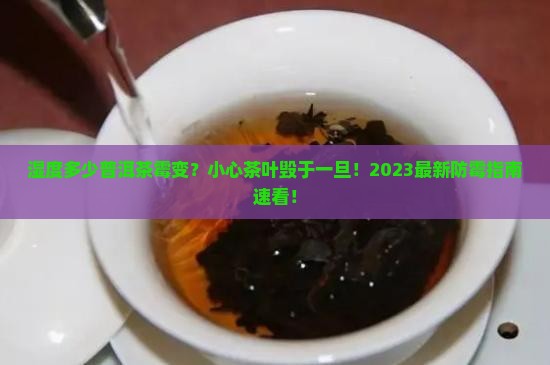 湿度多少普洱茶霉变