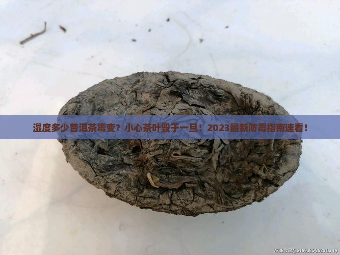 湿度多少普洱茶霉变
