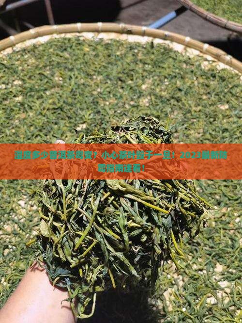 湿度多少普洱茶霉变