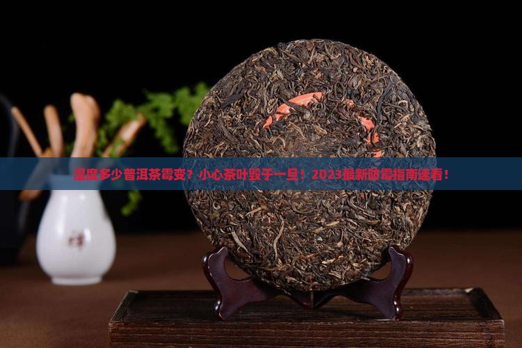 湿度多少普洱茶霉变