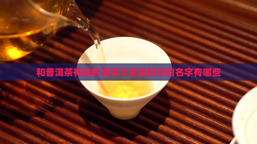 和普洱茶有关的名字
