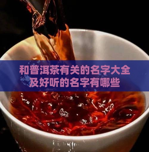 和普洱茶有关的名字
