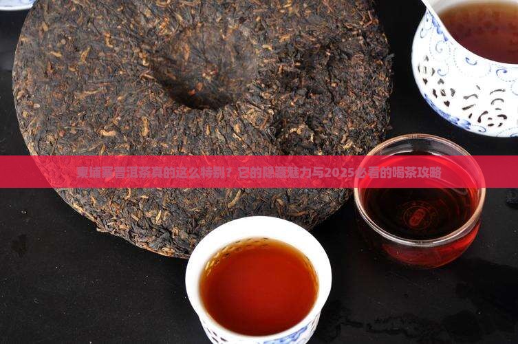 柬埔寨普洱茶的特点