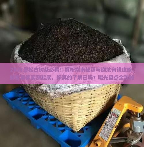 曼松古树茶文献