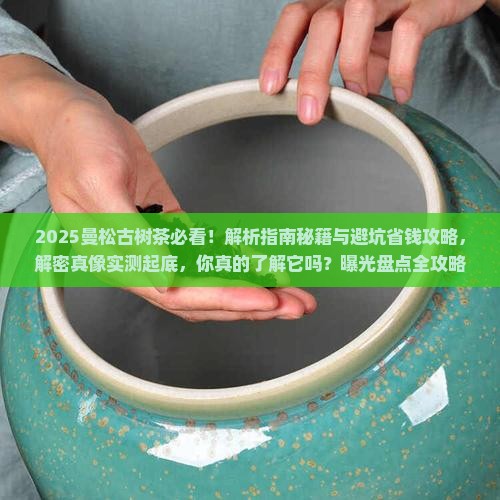 曼松古树茶文献