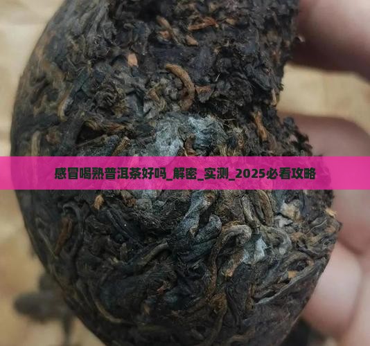 感冒喝熟普洱茶好吗