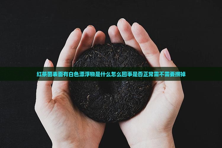 红茶菌表面有白色漂浮物