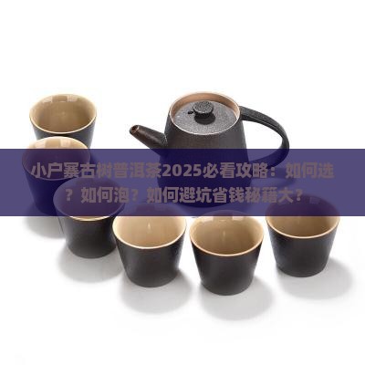 小户寨古树普洱茶