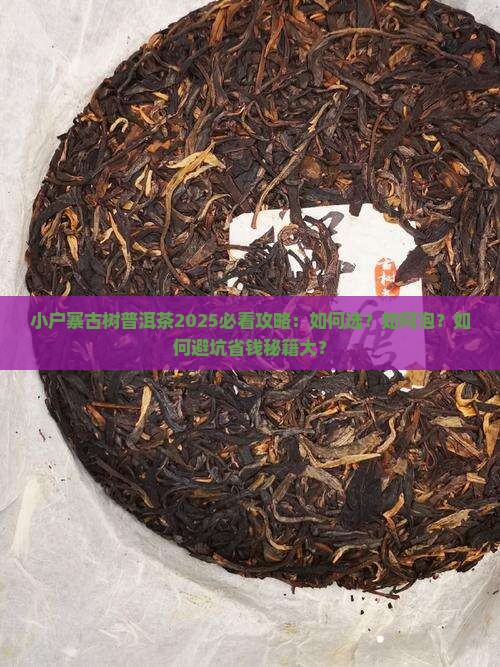 小户寨古树普洱茶