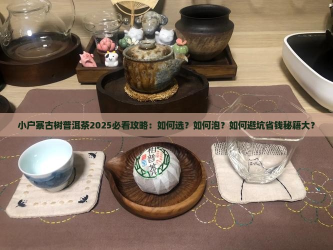小户寨古树普洱茶