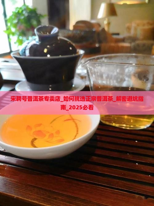 宋聘号普洱茶专卖店