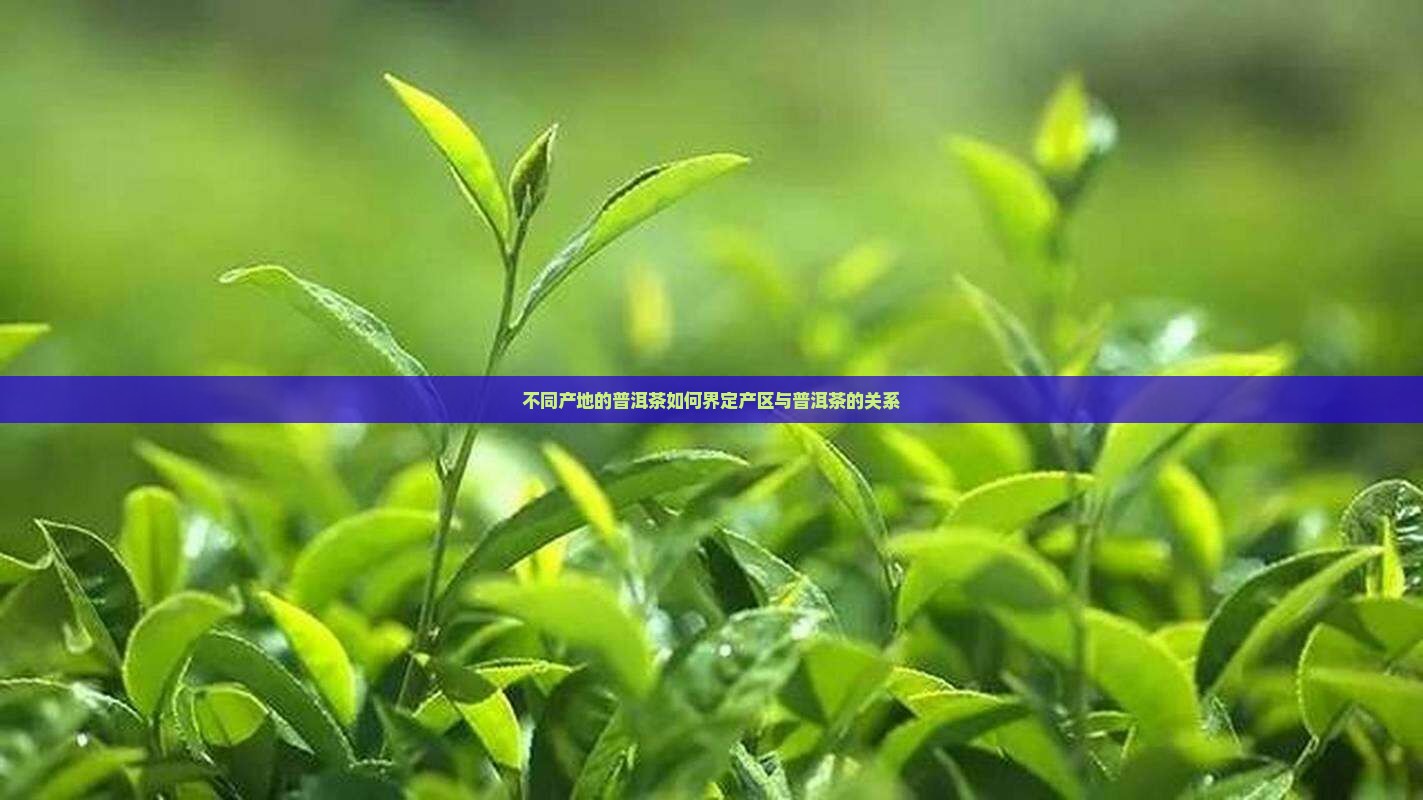 不同产地的普洱茶如何界定