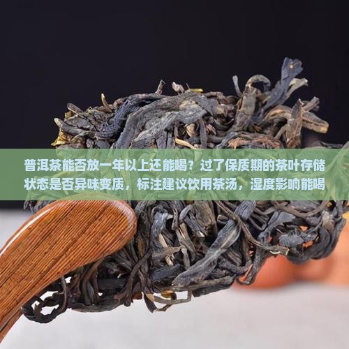普洱茶能否放一年以上还能喝