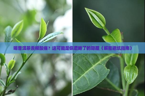喝普洱茶舌根酸痛怎么办