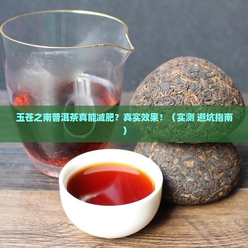 玉苍之南普洱茶减肥吗