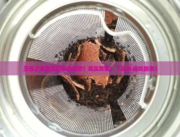 玉苍之南普洱茶减肥吗