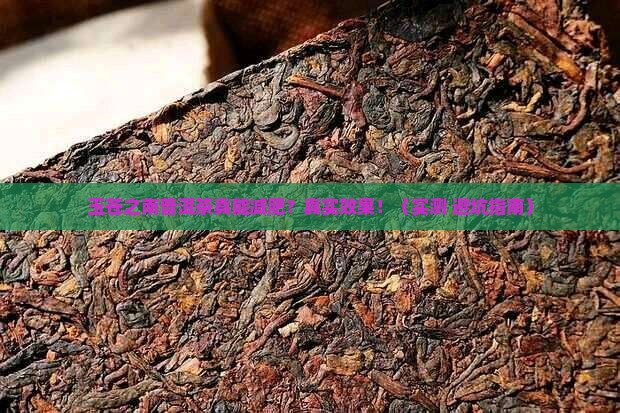 玉苍之南普洱茶减肥吗