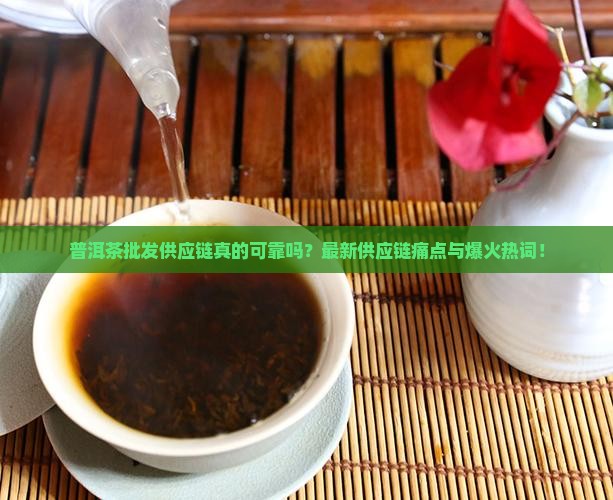 普洱茶批发供应链